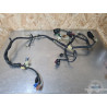 Faisceau électrique principal Honda 600 Hornet 2002 à 2004 