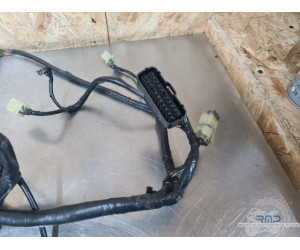 Faisceau électrique principal Honda 600 Hornet 2002 à 2004 