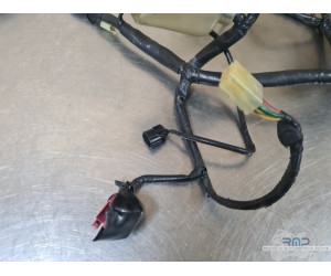 Faisceau électrique principal Honda 600 Hornet 2002 à 2004 