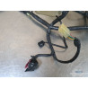 Faisceau électrique principal Honda 600 Hornet 2002 à 2004 