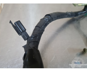 Faisceau électrique principal Honda 600 Hornet 2002 à 2004 