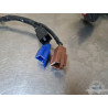Faisceau électrique principal Honda 600 Hornet 2002 à 2004 