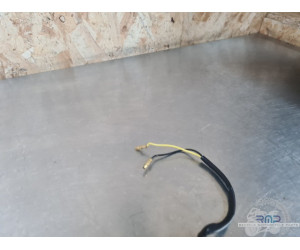 Pairedeclignotant Honda 600 Hornet 2002 à 2004 