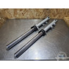 Paire de tube de fourche Honda 600 Hornet 2002 à 2004 