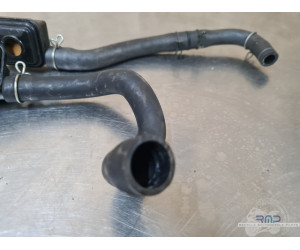 Honda 600 Hornet 2002 à 2004