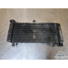 Radiateur d'eau Honda 600 Hornet 2002 à 2004