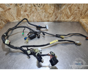 Faisceau électrique principal Yamaha YZF R1 2000 à 2001 