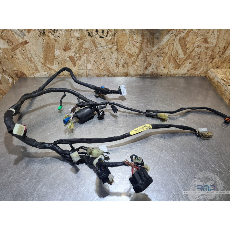 Faisceau électrique principal Yamaha YZF R1 2000 à 2001 