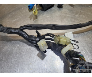 Faisceau électrique principal Yamaha YZF R1 2000 à 2001 