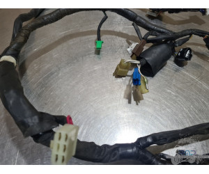 Faisceau électrique principal Yamaha YZF R1 2000 à 2001 