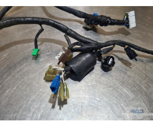 Faisceau électrique principal Yamaha YZF R1 2000 à 2001 