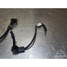 Cable de masse KTM 390 Duke 2013 à 2016 