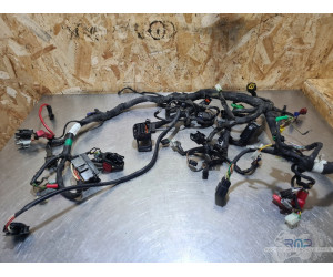 Faisceau électrique principal KTM 390 Duke 2013 à 2016 