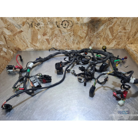 Faisceau électrique principal KTM 390 Duke 2013 à 2016 