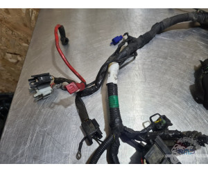 Faisceau électrique principal KTM 390 Duke 2013 à 2016 