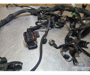 Faisceau électrique principal KTM 390 Duke 2013 à 2016 