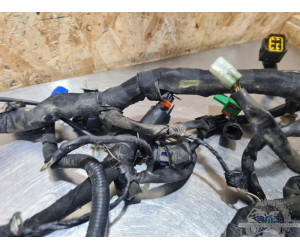 KTM 390 Duke 2013 à 2016 