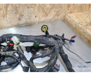 KTM 390 Duke 2013 à 2016 