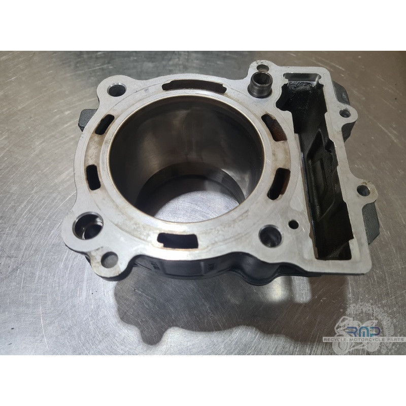 Cylindre KTM 390 Duke 2013 à 2016 