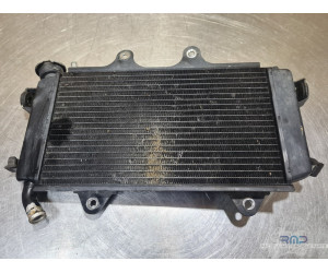 Radiateur d'eau KTM 390 Duke 2013 à 2016 