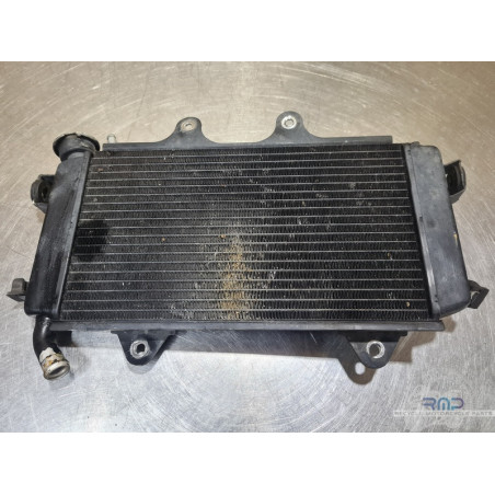 Radiateur d'eau KTM 390 Duke 2013 à 2016 
