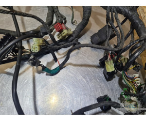 Faisceau électrique principal Honda ST 1100 Pan Européan 1992 à 2001 