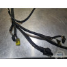 Faisceau électrique principal Honda ST 1100 Pan Européan 1992 à 2001 