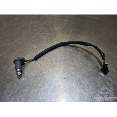 Veilleuse Honda ST 1100 Pan Européan 1992 à 2001 