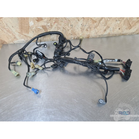 Faisceau secondaire KTM 1090 Adventure 2018 à 2024 