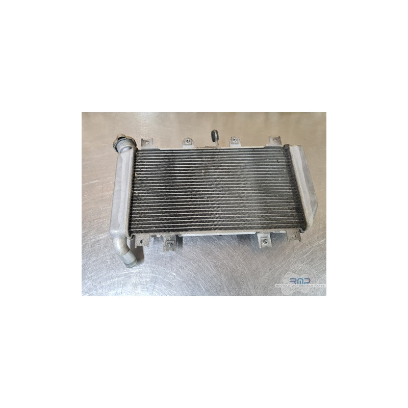 Kawasaki Ninja 400 2018 à 2020 