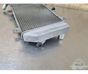 Kawasaki Ninja 400 2018 à 2020 