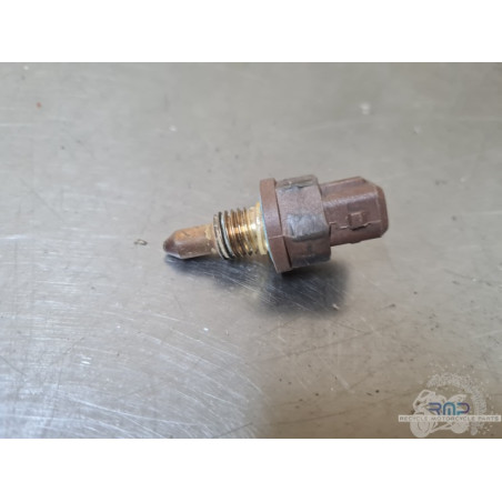 Sonde de température d'eau Triumph Sprint ST 955 (T695) 1999 à 2005