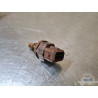 Sonde de température d'eau Triumph Sprint ST 955 (T695) 1999 à 2005