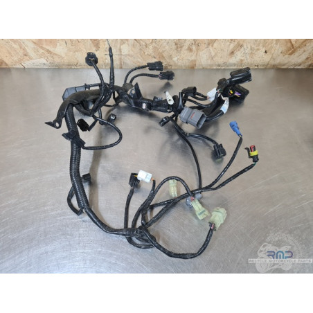 KTM 1290 Superduke GT 2019 à 2024 