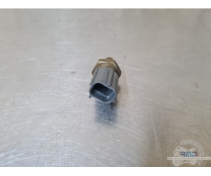 KTM 1290 Superduke GT 2019 à 2024 