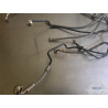 ABS 765 Street Triple RS Brake Hose Kit 2017 to 2019