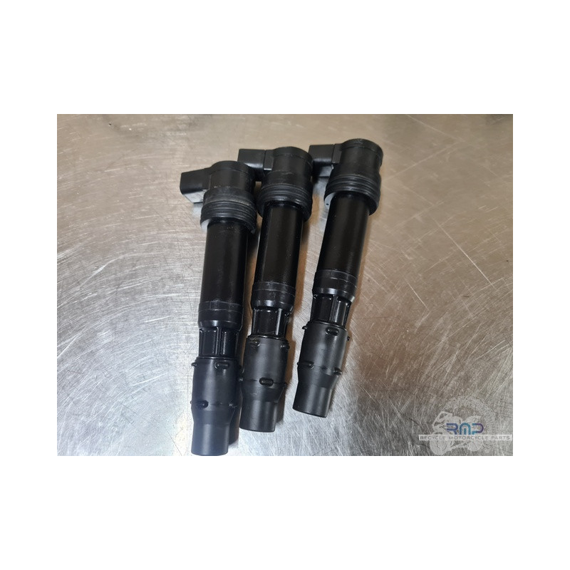 Triumph 900 Tiger Rally Pro 2020 à 2026 