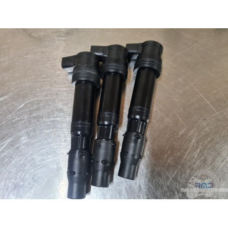 Bobine d'allumage x1 Triumph 900 Tiger Rally Pro 2020 à 2026 