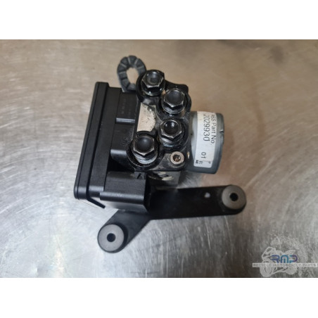 Triumph 900 Tiger Rally Pro 2020 à 2026 