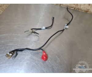 Triumph 900 Tiger Rally Pro 2020 à 2026 