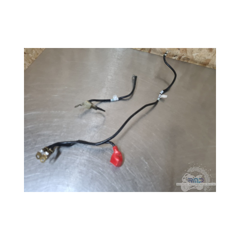 Triumph 900 Tiger Rally Pro 2020 à 2026 