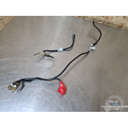 Cable de masse Triumph 900 Tiger Rally Pro 2020 à 2026 