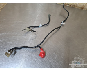 Triumph 900 Tiger Rally Pro 2020 à 2026 