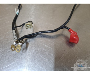 Triumph 900 Tiger Rally Pro 2020 à 2026 