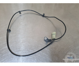 Triumph 900 Tiger Rally Pro 2020 à 2026 