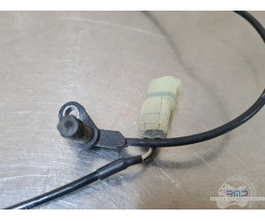 Triumph 900 Tiger Rally Pro 2020 à 2026 