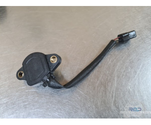 Triumph 900 Tiger Rally Pro 2020 à 2026 