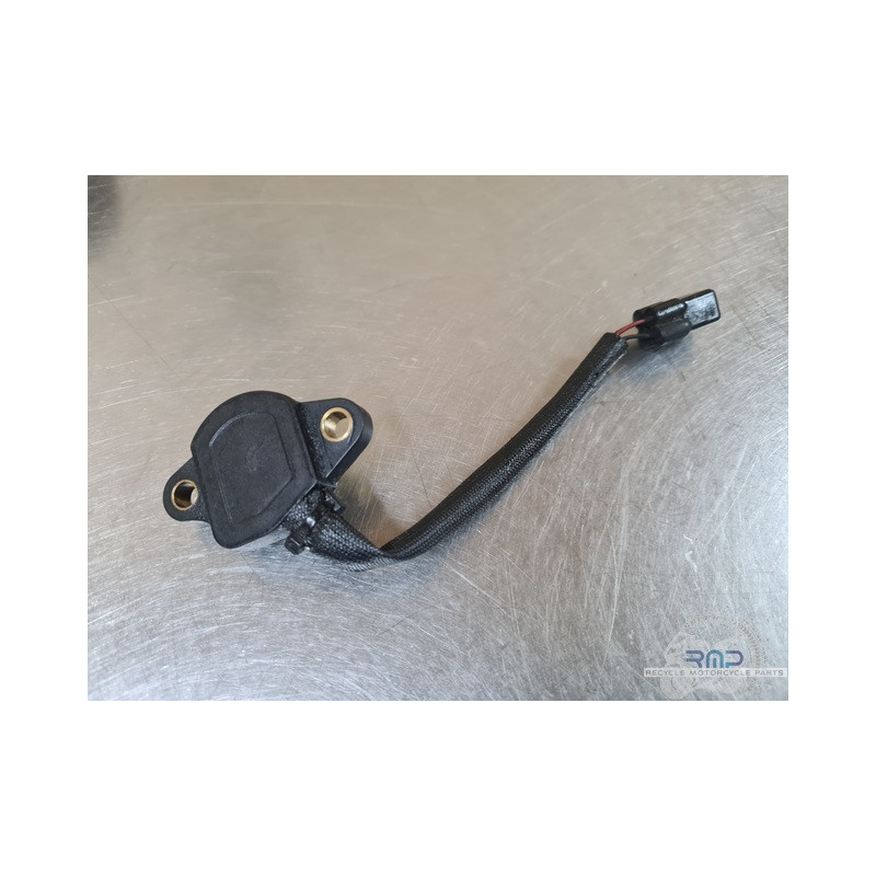 Triumph 900 Tiger Rally Pro 2020 à 2026 