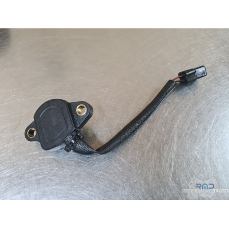 Triumph 900 Tiger Rally Pro 2020 à 2026 