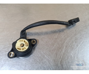 Triumph 900 Tiger Rally Pro 2020 à 2026 